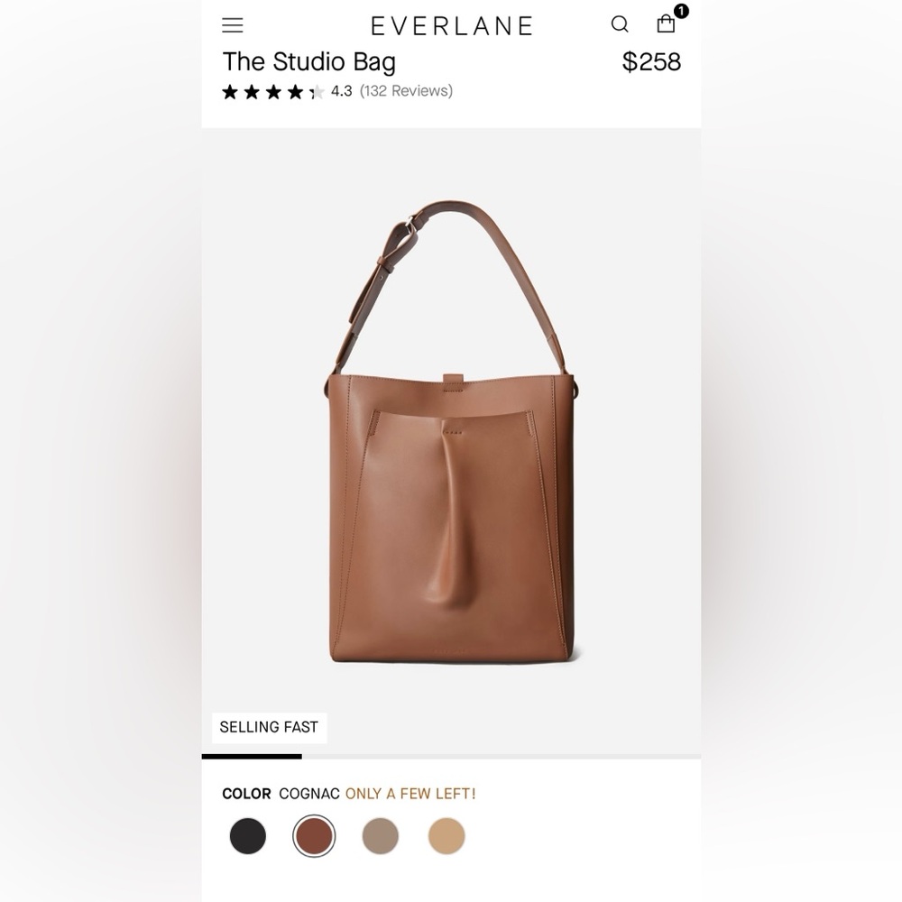 Everlane The Studio Bag - Picture 1 of 16